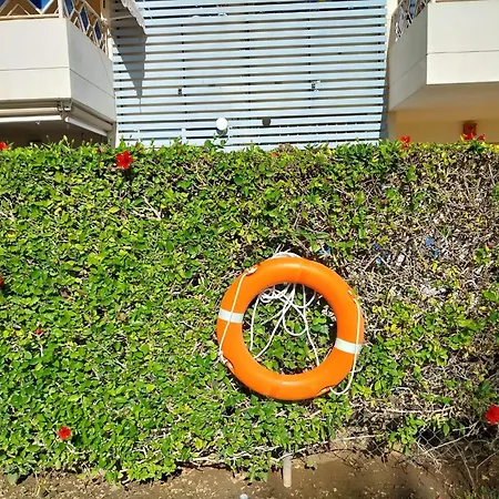 Napoleon 4a With Pool Close To The דירה *