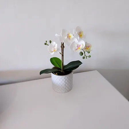 Napoleon 4a With Pool Close To The * Marbella